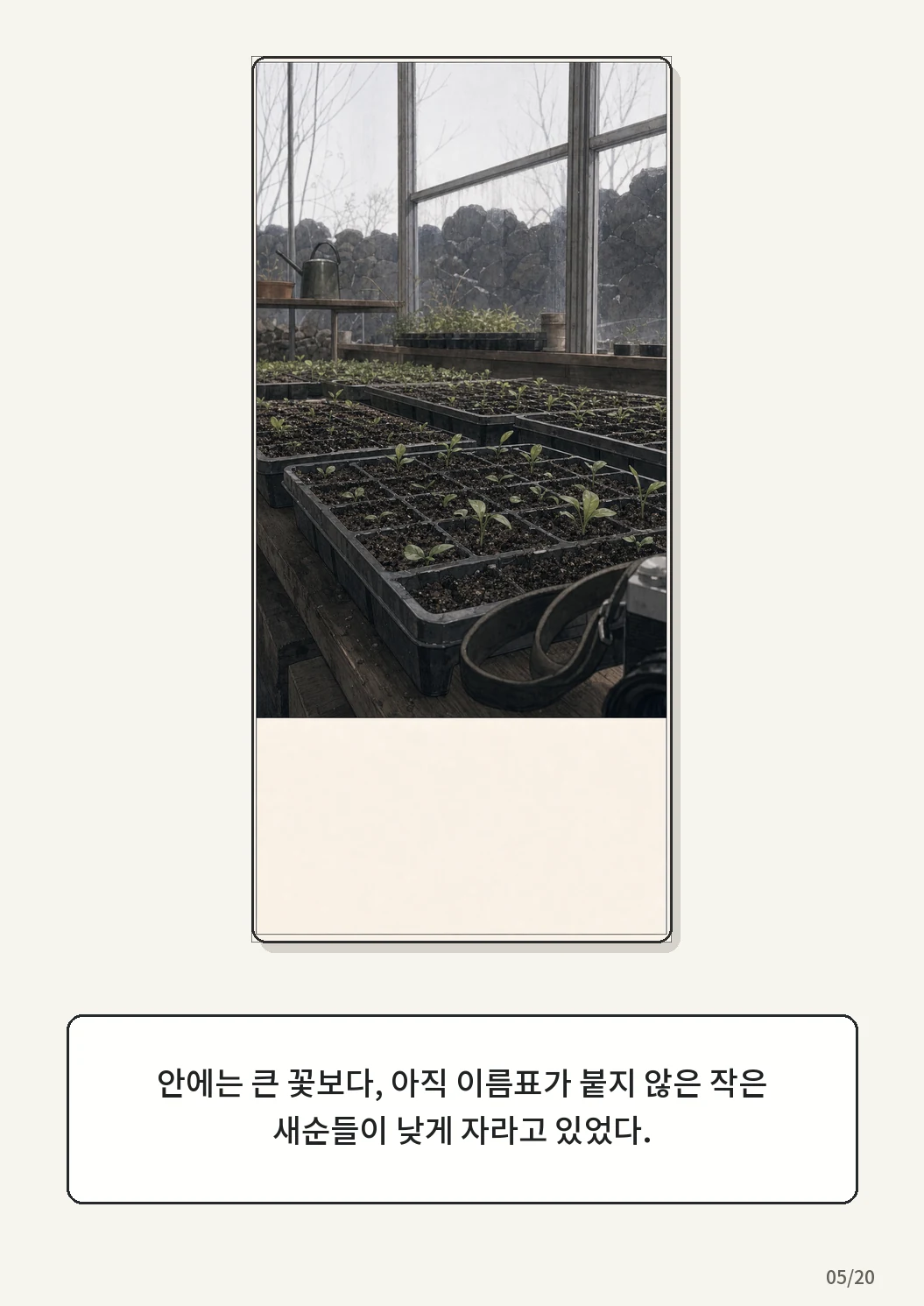 9화: 겨울 온실 5페이지. 안에는 큰 꽃보다, 아직 이름표가 붙지 않은 작은 새순들이 낮게 자라고 있었다.